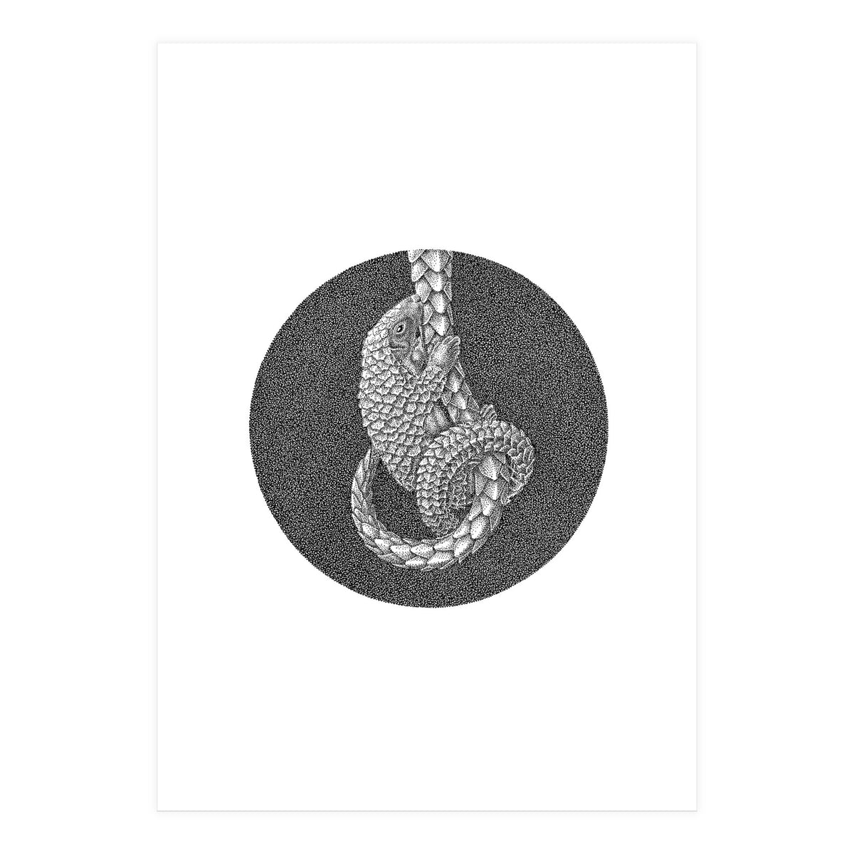 Pangolin no. 3 (Print Only)