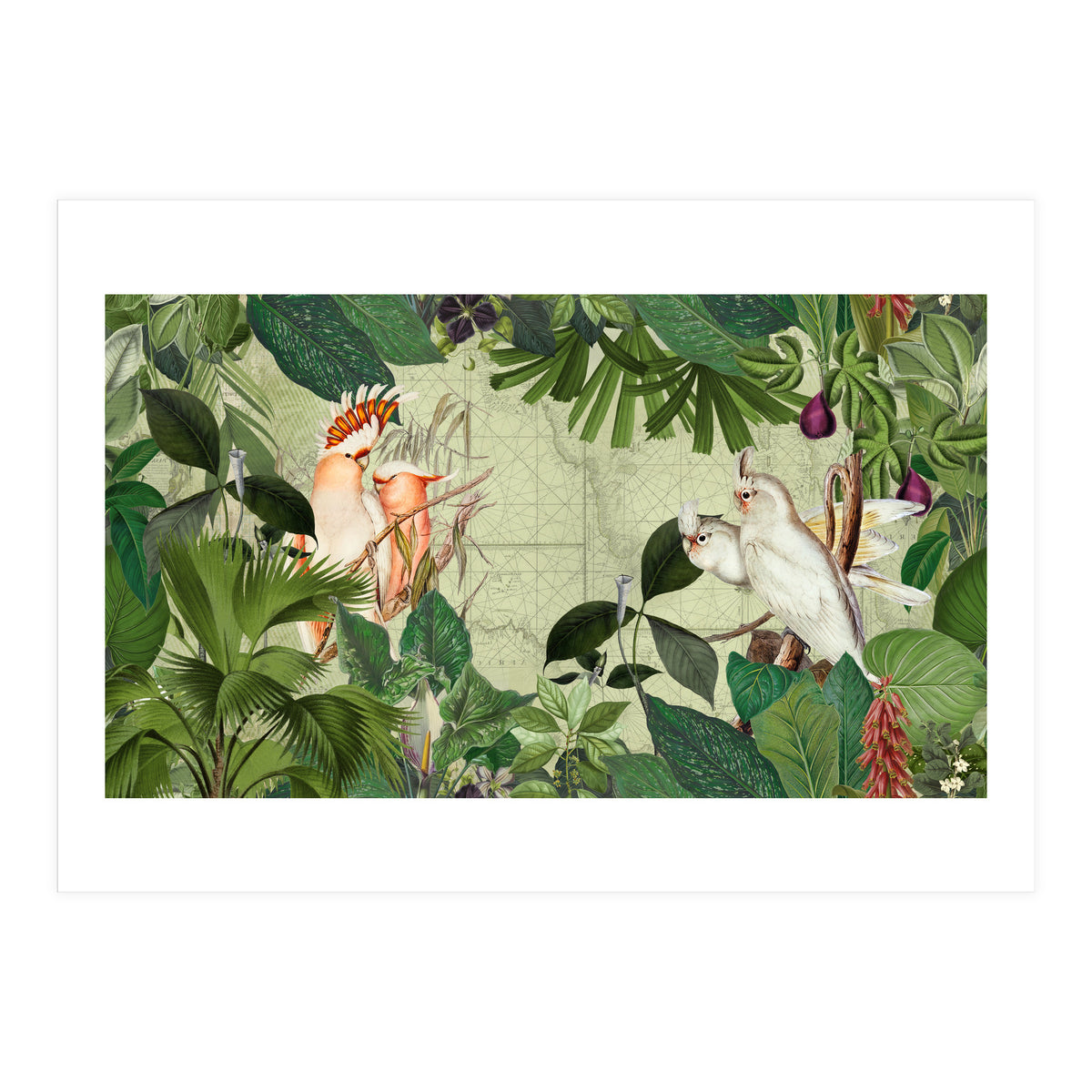 Cockatoo Island Green (Print Only)