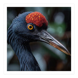 Black Crane Bird Head With Red Crown And Raindrops (Print Only) thumbnail