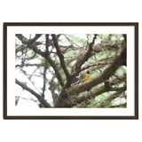 Mini sun thumbnail