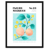Magical Flowers No.23 Apricot Blossom thumbnail