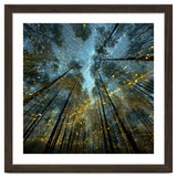 Enchanted Night Forest with Glowing Fireflies thumbnail