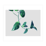 Projection & Emotion (Print Only) thumbnail