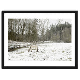 White horse in the snow field thumbnail