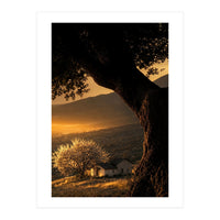 The Hill (Print Only)