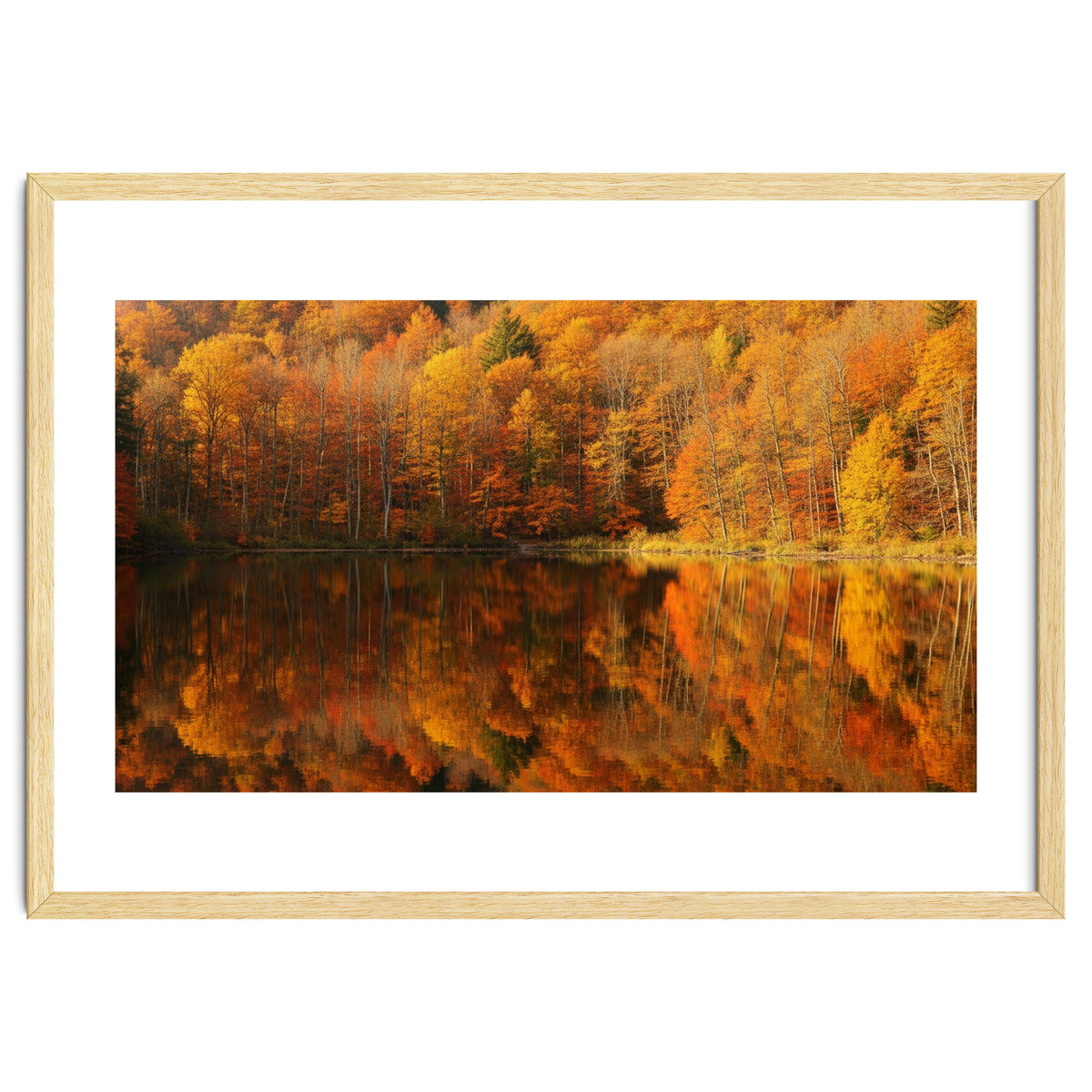 Autumn Reflections