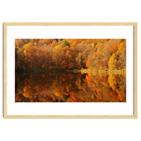 Autumn Reflections