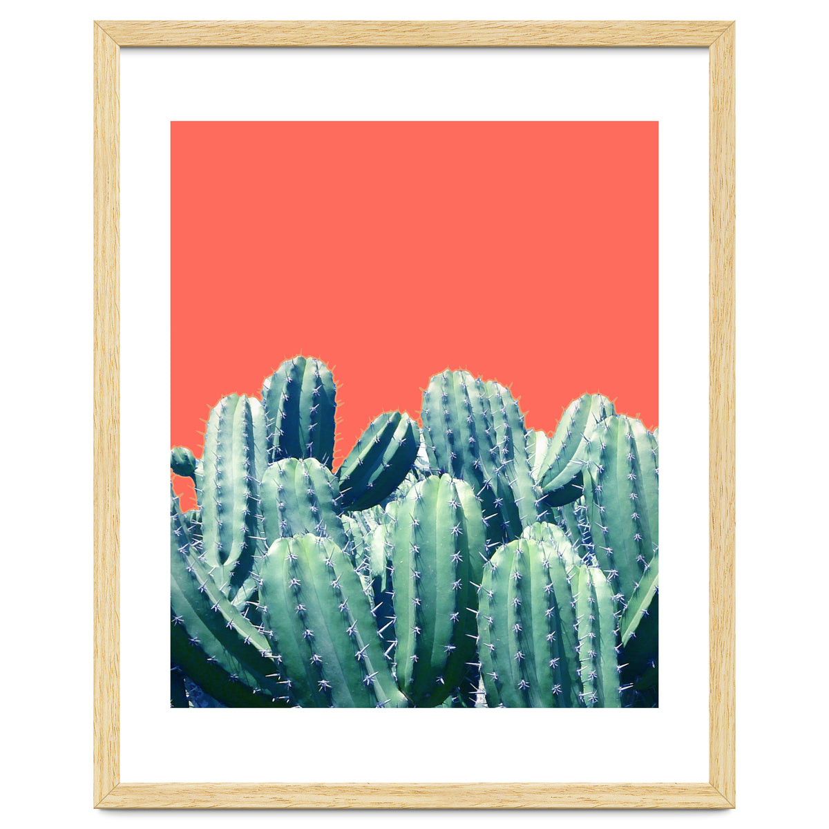 Cactus On Coral