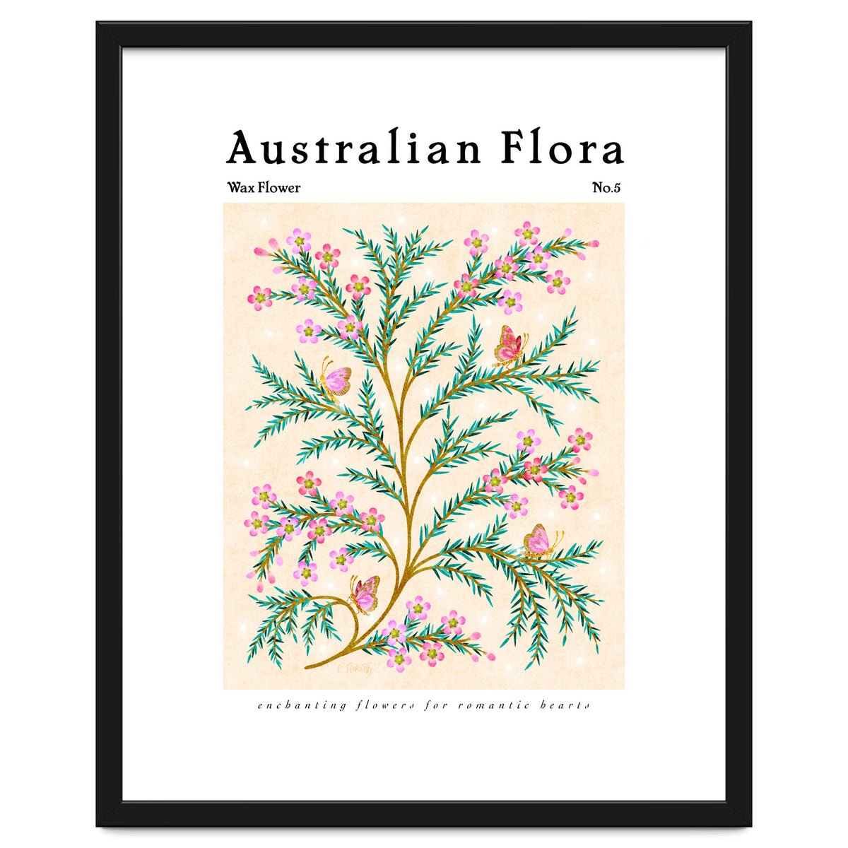 Australian Flora: Wax Flower