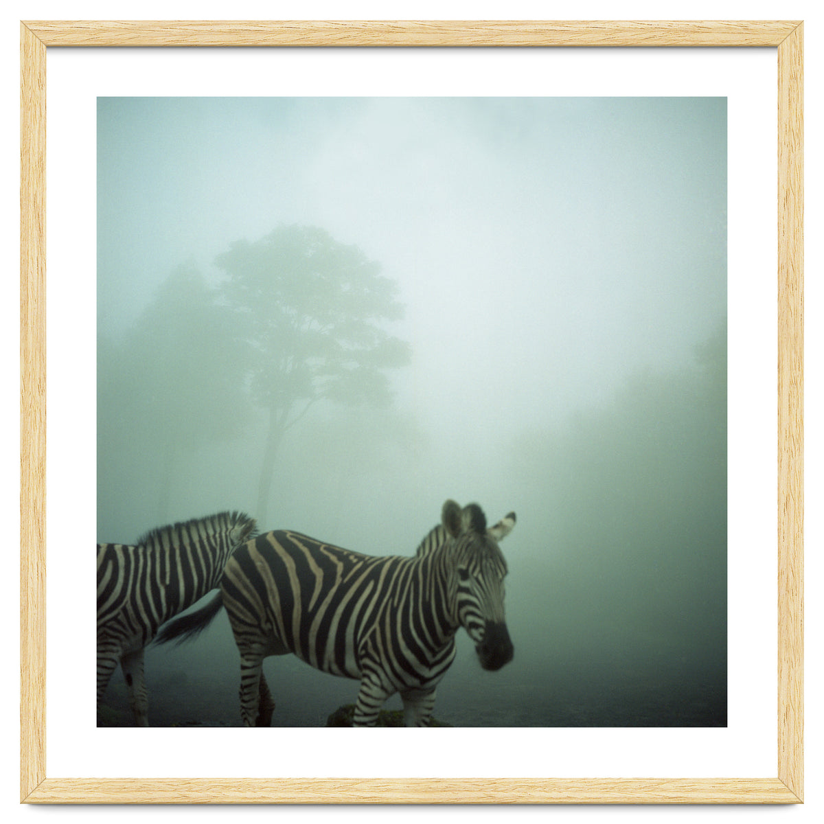 Silence of breath - 16