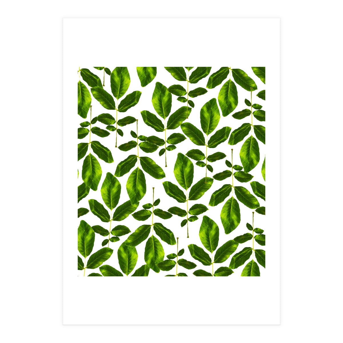 Natural Cure #society6 #decor #buyart (Print Only)