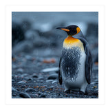 King Penguin Standing In The Rain (Print Only) thumbnail