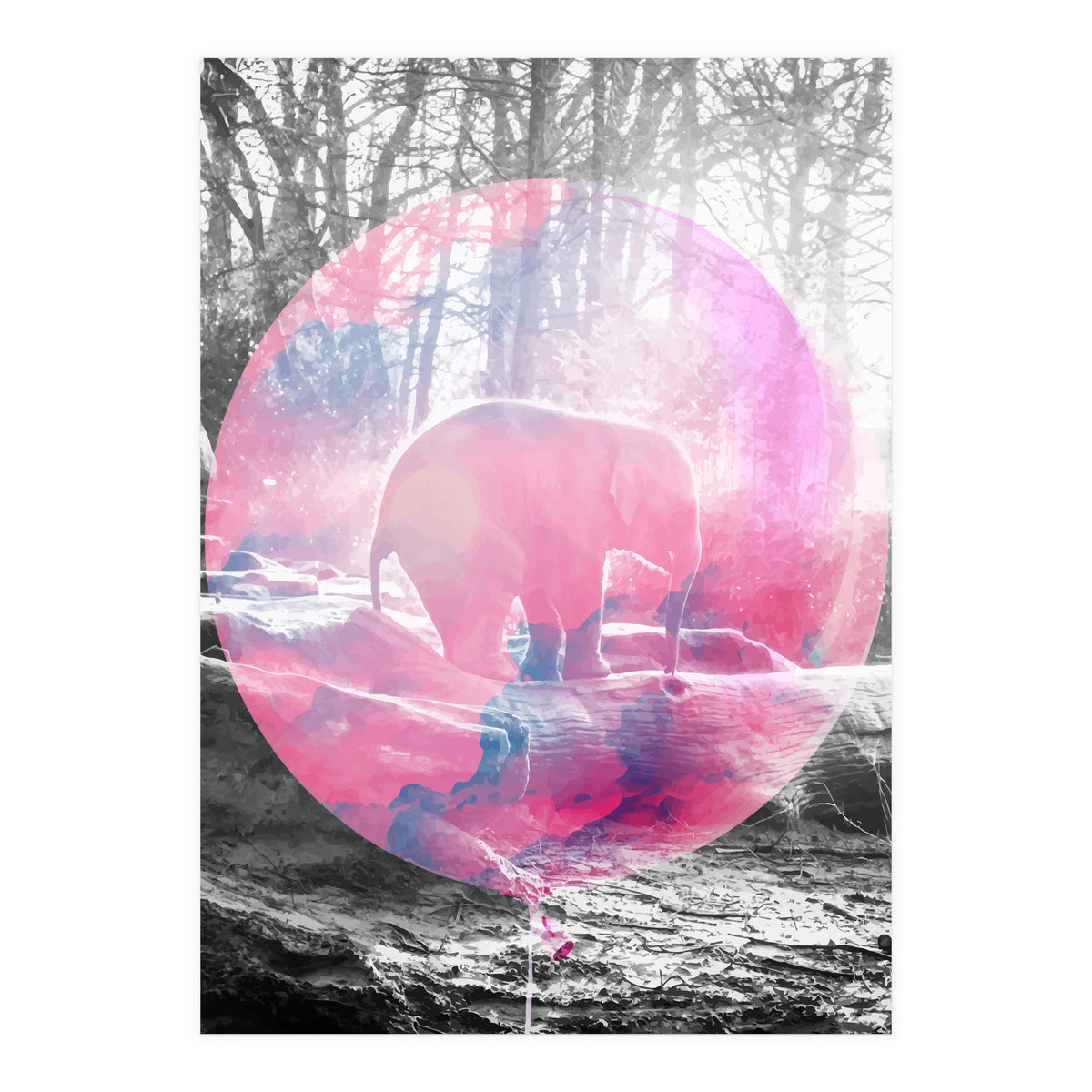 Baby Elephant In A Balloon (Print Only)