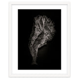 Leaves No 9 thumbnail