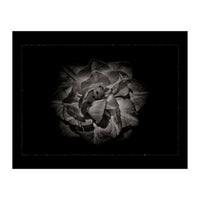 Backyard Flowers In Black And White No 81 with Border (Print Only)