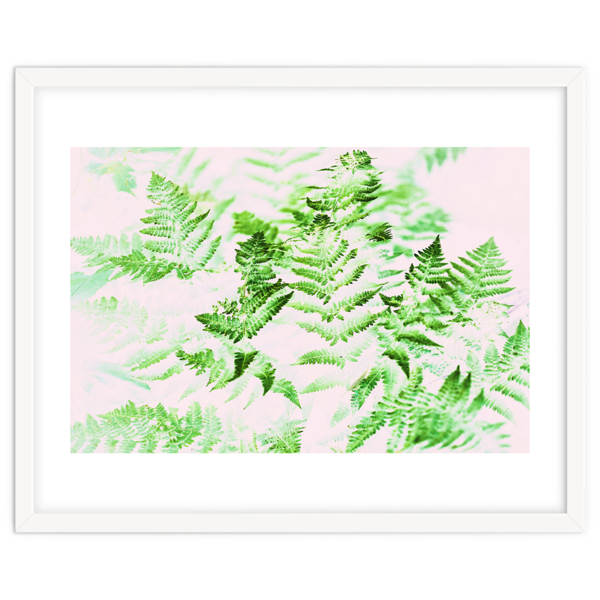 Fern Forest #society6 #decor #buyart