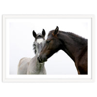 Two Horses