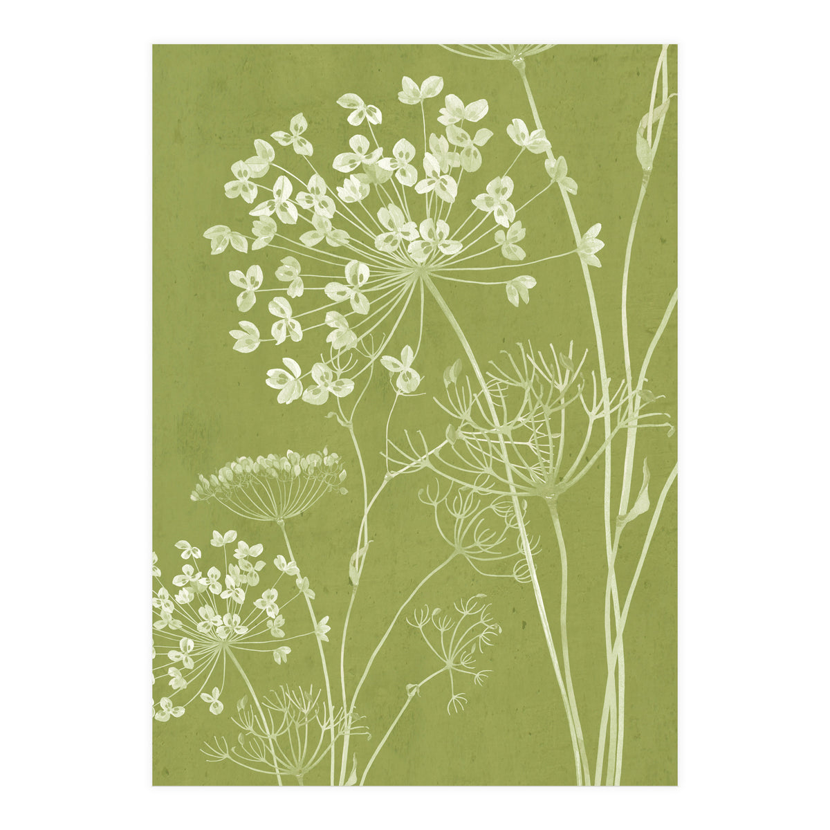 Wildflowers III (Print Only)