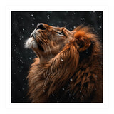 Lion Looking Up In The Snow Majestic (Print Only) thumbnail