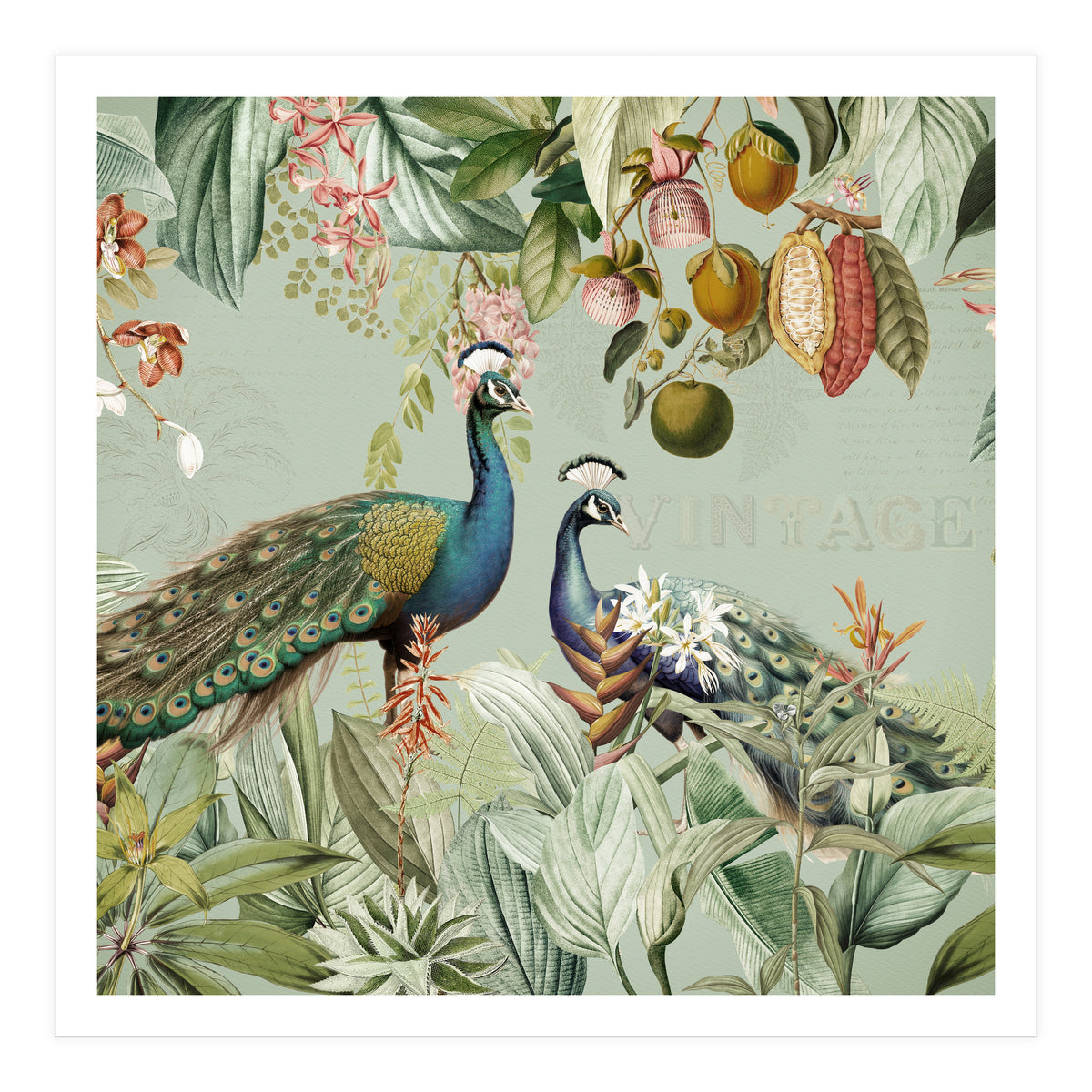 Vintage Exotic Asian Peacocks In Tropical Jungle Landscape (Print Only)