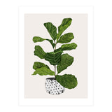 Fiddle Leaf Fig Tree Plant (Print Only) thumbnail