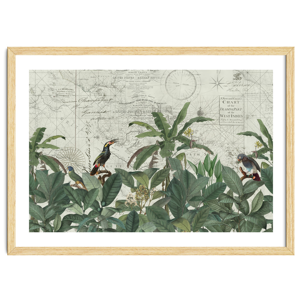 Explore The New World