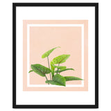 Botanical Art thumbnail