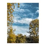 Autumn Evening (Print Only) thumbnail