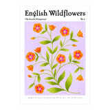 English Wildflowers | Scarlet Pimpernel  (Print Only) thumbnail