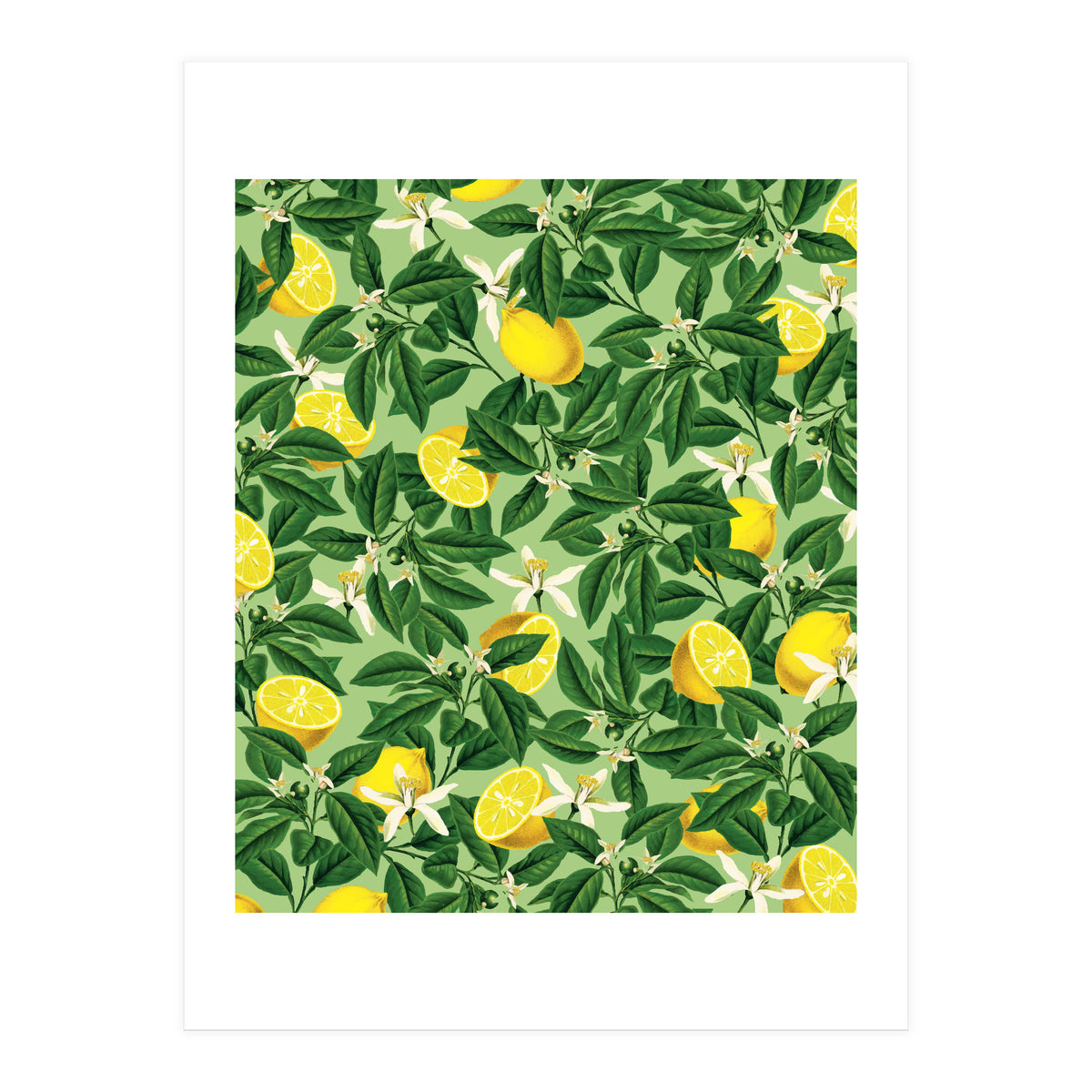 Lemonade Garden, Green Fresh Lemon Botanical Illustration, Vibrant Summer Tropical Fruit Nature (Print Only)