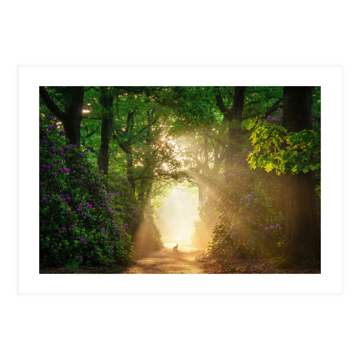 Hare in paradise (Print Only)