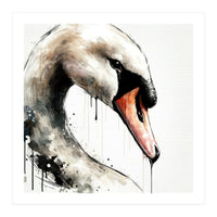 Watercolor Swan Portrait (Print Only)