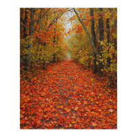 Lush Autumn Forest Path Covered (Print Only)
