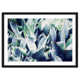 Cactus Garden thumbnail