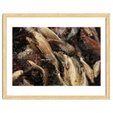 Fish01 thumbnail