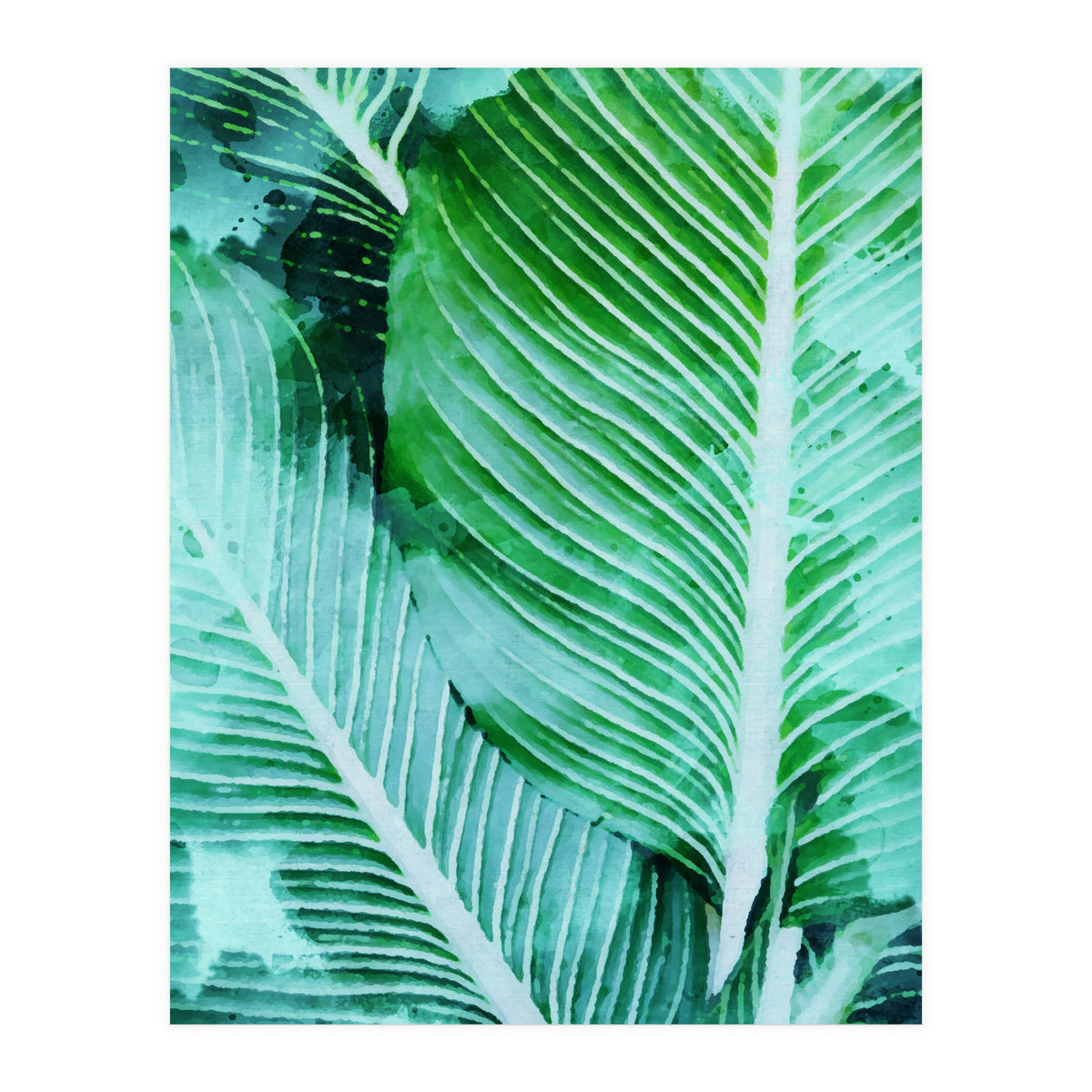 Rearranged Beauty (Print Only)