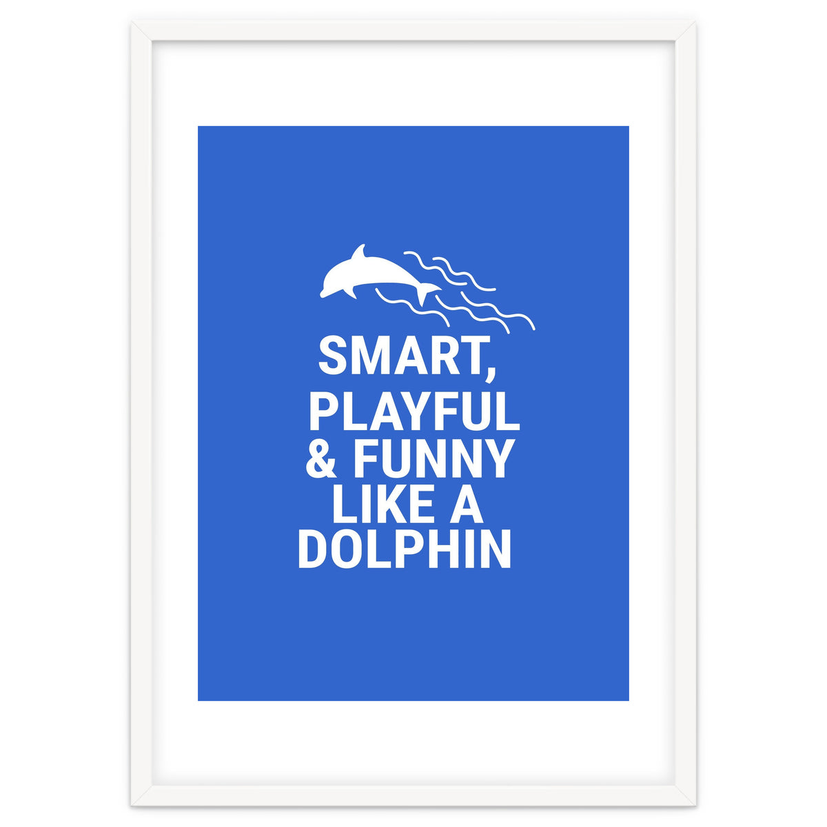 Smart, playful and funny like a dolphin