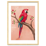Red Macaw Parrot Bird Forest thumbnail