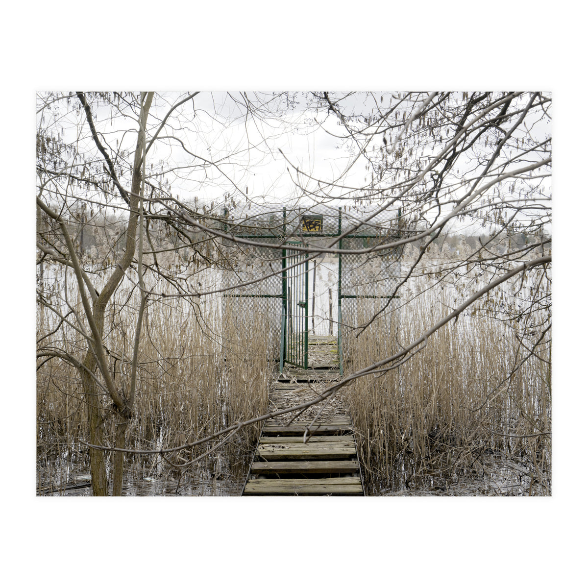 The gate to the lake (Print Only)