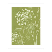 Wildflowers III (Print Only)
