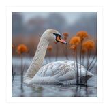 White Swan Swimming In A Lake With Reeds (Print Only) thumbnail