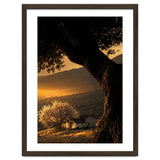 The Hill thumbnail