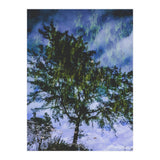 Skyfall (Print Only) thumbnail