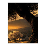 The Hill (Print Only) thumbnail