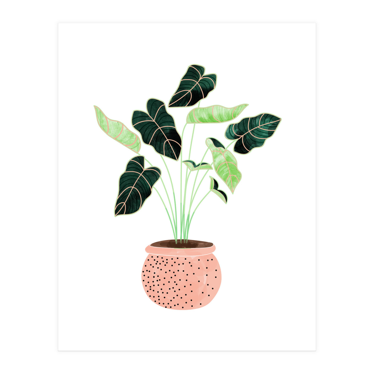 Home Plant | Ceramic Botanical Planter Illustration | Minimal Bohemian Watercolor Painting Polka Dot (Print Only)