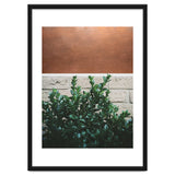 Plant + Copper thumbnail
