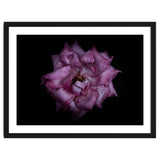 Backyard Flowers No 111 Color Version thumbnail