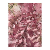 Pink Blossom (Print Only) thumbnail
