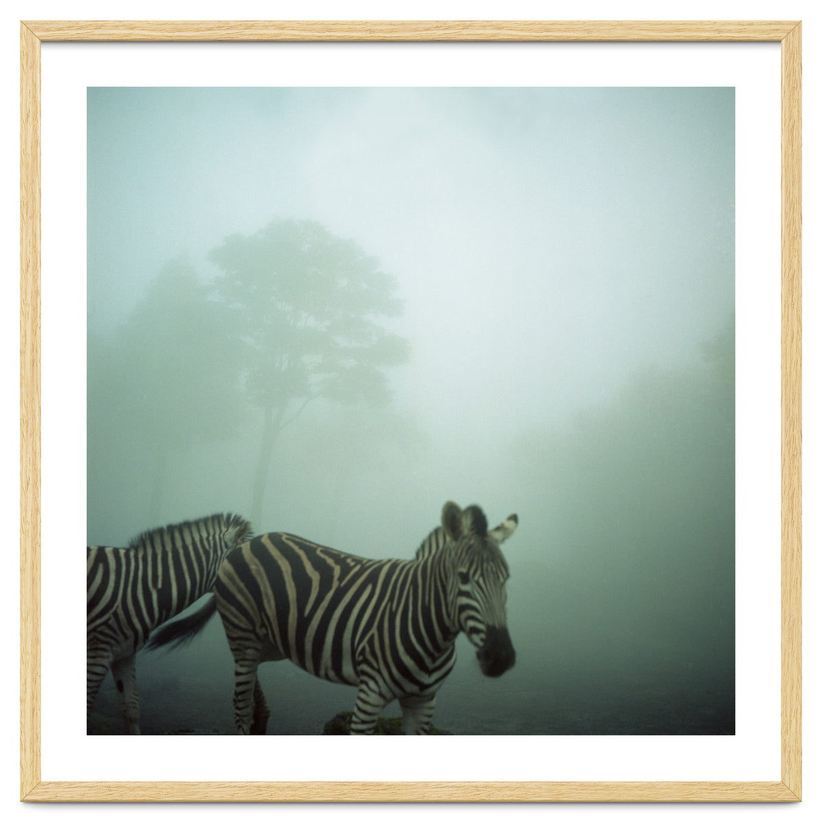 Silence of breath - 16