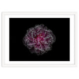 Backyard Flowers No 116 Color Version thumbnail